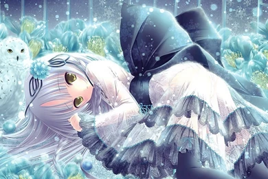 Anime Girl With White Hair Yellow Eyes Winter With Owl White Dress ...