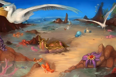 The Craziest Race I Have Ever Seen : Funny