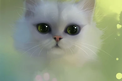 Cute Cat Wallpapers Free Download Wallpapers   Free Cute Cat ...