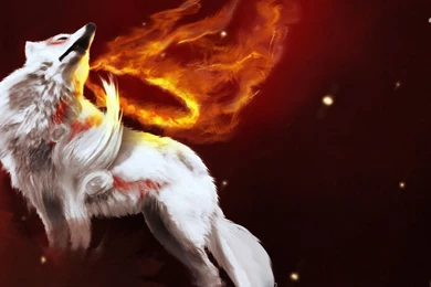 Wolf On Fire Wallpapers   Fantasy Wallpapers