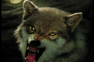 Wolf Computer Wallpapers, Desktop Backgrounds