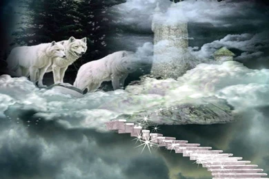 Fantasy Wolf Wolves Wallpapers