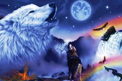 Free Native American Wolf Wallpapers