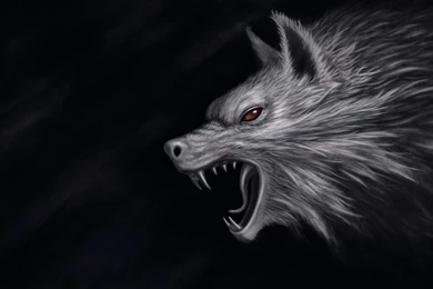 Monsters Wolves Head Fantasy Wolf Dark Wallpapers