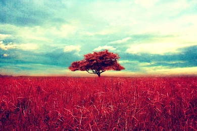 Vintage Wallpapers Hd