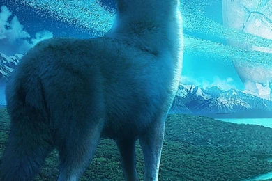 iPhone 6S Plus   Animal/Wolf   Wallpapers ID: 581418