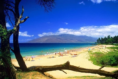 Pin Kihei Beach Hawaii Wallpapers Hd Free Wallpapers On Pinterest ...