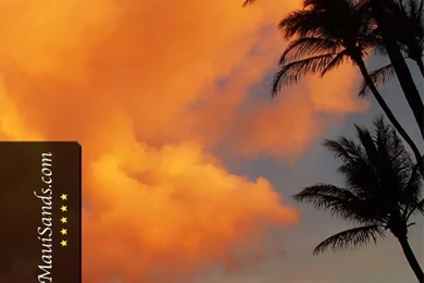 Hawaii Wallpapers From Maui Sands