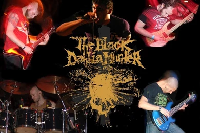 Gallery For   Black Dahlia Wallpapers