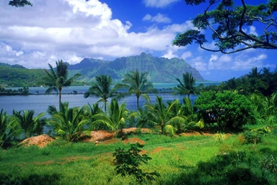 Gallery For   Hawaii Wallpapers Picture