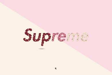 Hype Floral Illustrations By CAREAUX