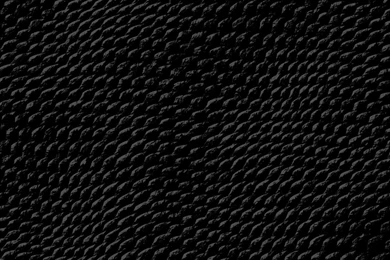 Gallery For   Black Snakeskin Wallpapers