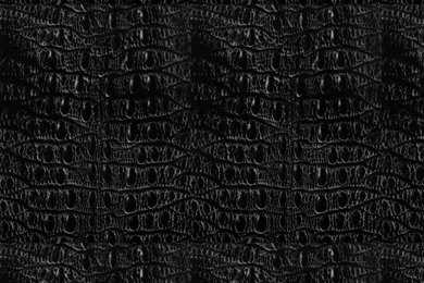Gallery For   Black Snakeskin Wallpapers