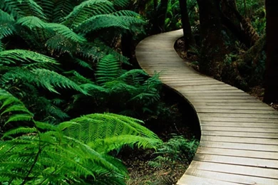 Nature Wallpapers HD   CuteWallpaper.org