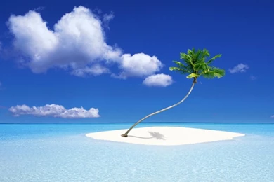 1280x800 Palm Tree Island Desktop PC And Mac Wallpapers