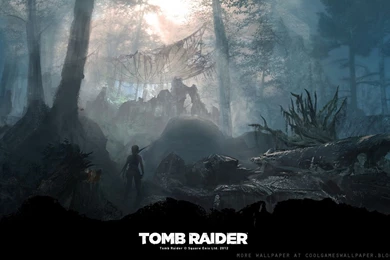 Lara Croft Tomb Raider 2013 Wallpapers