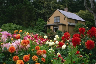 Beautiful flower garden wallpapers 41.jpg