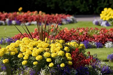 Gallery For   Wallpapers Of Gardens With Flowers