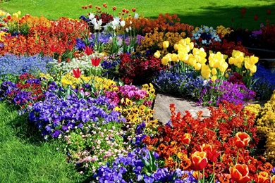 Gallery For   Gardens Flowers Wallpapers