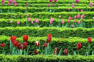 Flower Garden Wallpapers For Desktop Xqgvef   Sky Designs Ideas