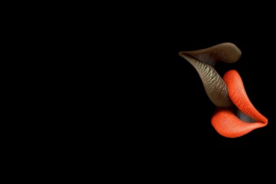 Gallery For Best Lip Kissing Wallpapers