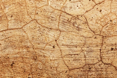 Old Cracked Wall Of Cement For Website Backgrounds   Download ...