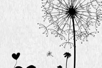 Dandelion iPhone HD Desktop Backgrounds Wallpapers 10110   HD ...