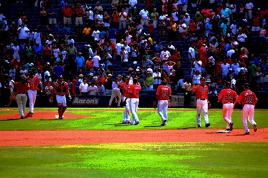 Atlanta Braves MLB Team Wallpaper.jpg