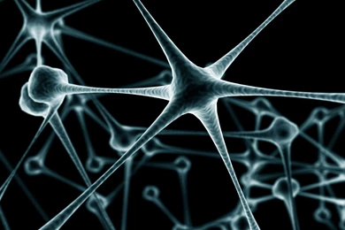 Download Dual Monitor Wallpapers 2560x1024