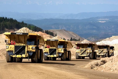 Caterpillar Wallpapers (2048x1536)