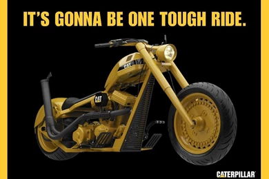 The Official Cat Chopper