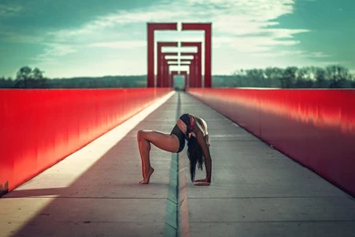 GYMNASTICS Exercise Fitness Sexy Babe Sport Grace Artistic Art ...