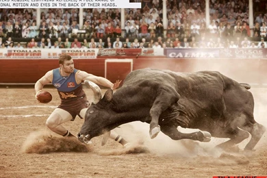 Bull Fighting 1920x1080 HD Wallpapers Sport / Extreme Sports