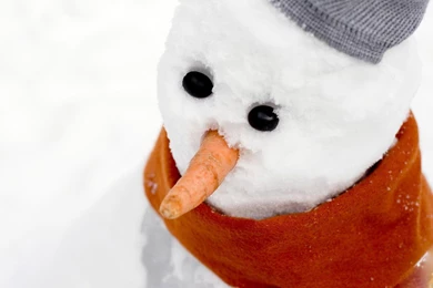 Desktop Wallpapers · Gallery · Humor · Jolly Snowman