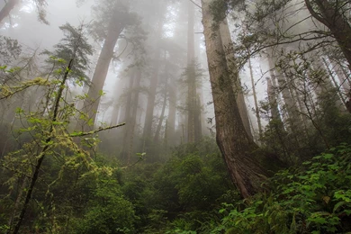 InterfaceLIFT: 2560x1024 Wallpapers Sorted By Rating