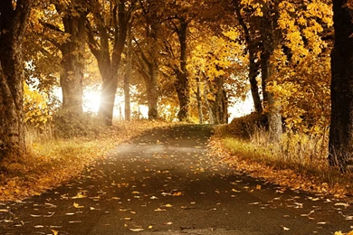 Earth Computer Wallpapers, Desktop Backgrounds