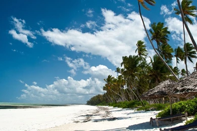 Beach In Zanzibar, Tanzania