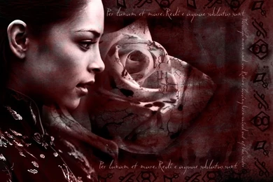 Kristin   Kristin Kreuk Wallpapers (6047019)   Fanpop