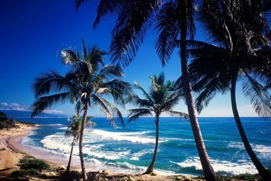 1322 Beach HD Wallpapers