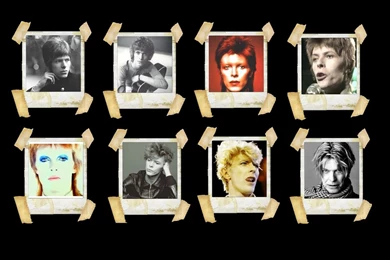 David Bowie Wallpapers   David Bowie Wallpapers (18432323)   Fanpop