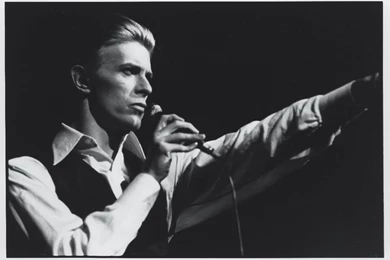 Gallery For   Davi Bowie Wallpapers