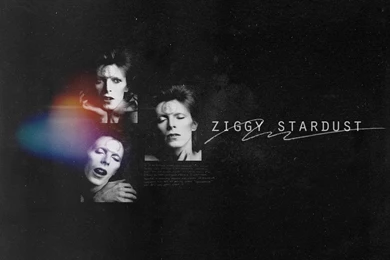 David Bowie Wallpapers   Wallpapers Cave