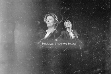 David Bowie Wallpapers   David Bowie Wallpapers (23272220)   Fanpop