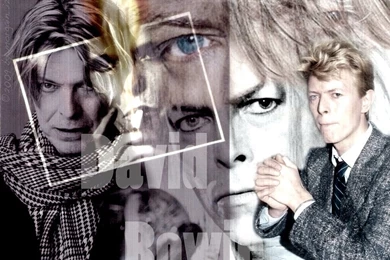 David Bowie Wallpapers 01 By Morgain ized On DeviantArt