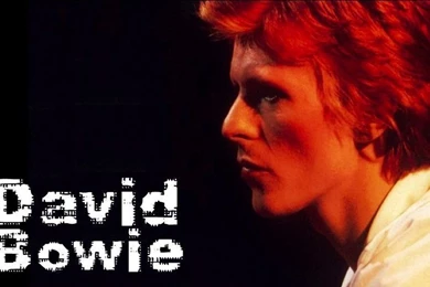 David Bowie Wallpapers 1 By Hulksmash88 On DeviantArt