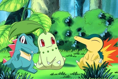 Totodile Pokemon Wallpapers