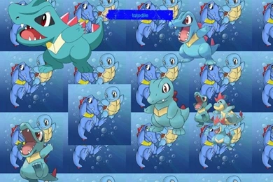 Totodile Pokemon HD Wallpapers 16