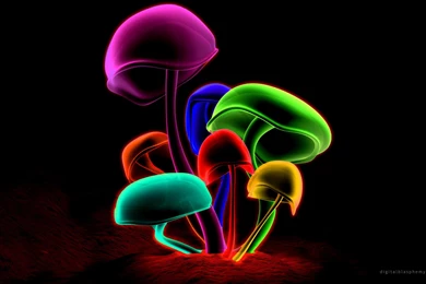 Gallery For   Free Shroom Wallpapers