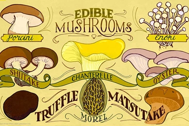 Desktop Wallpapers Archives   Pikaland