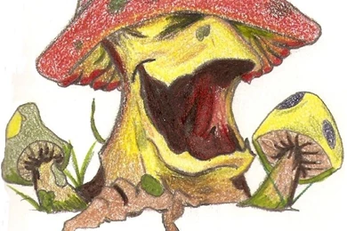 Slim Shady Wallpapers